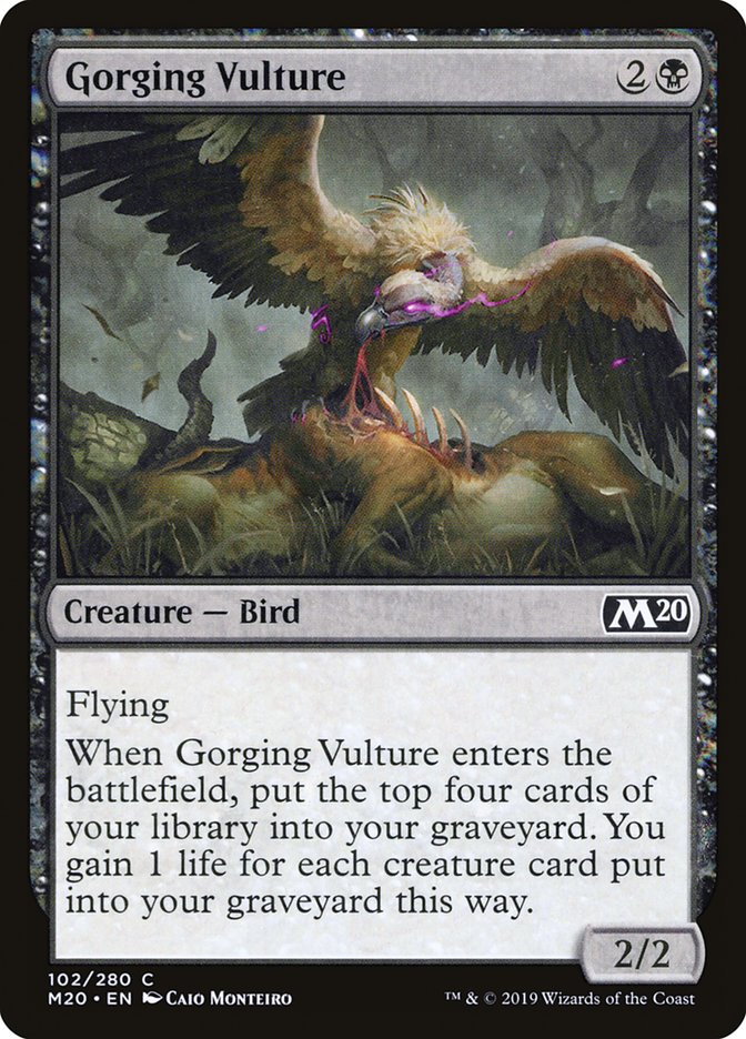 MTG Card Title: Gorging Vulture M20/102