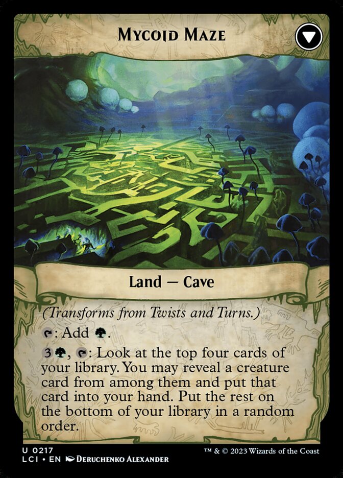 Twists and Turns // Mycoid Maze LCI/217