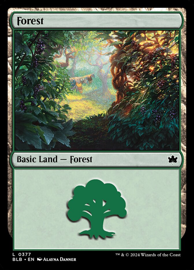 MTG Card Title: Forest BLB/377