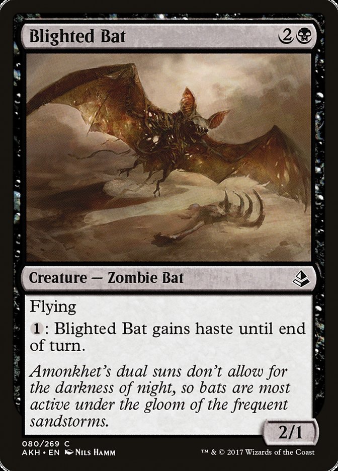 MTG Card Title: Blighted Bat AKH/80