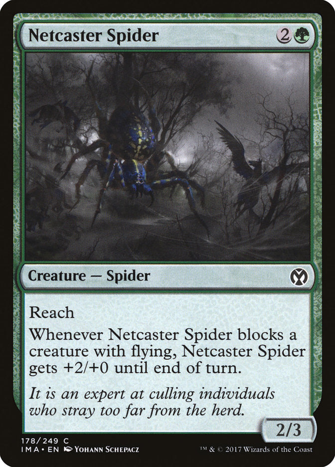 MTG Card Title: Netcaster Spider IMA/178