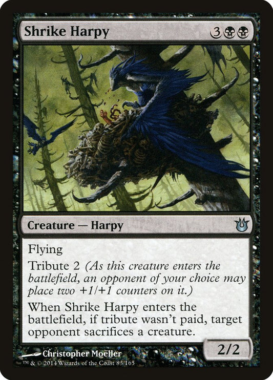 MTG Card Title: Shrike Harpy BNG/83