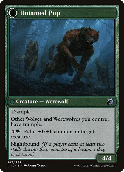 Hound Tamer // Untamed Pup MID/187