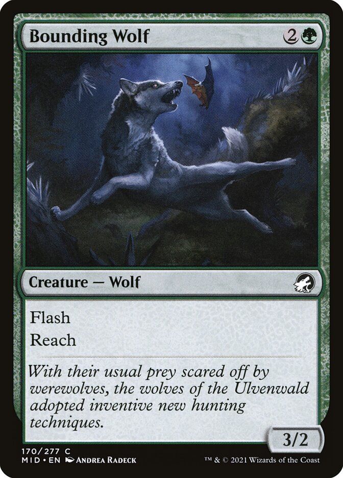 MTG Card Title: Bounding Wolf MID/170