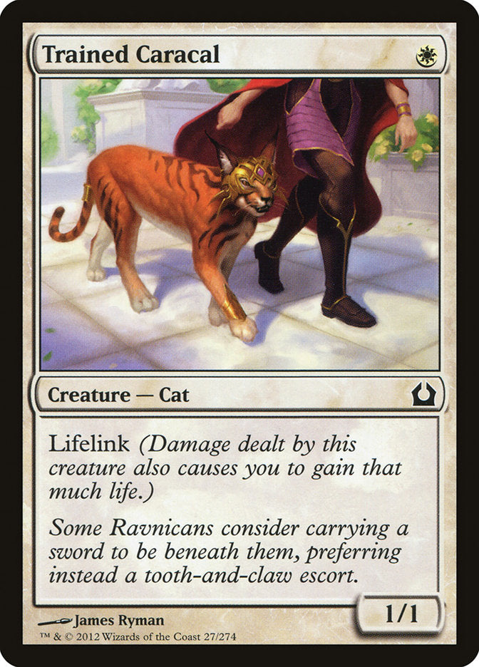 MTG Card Title: Trained Caracal RTR/27