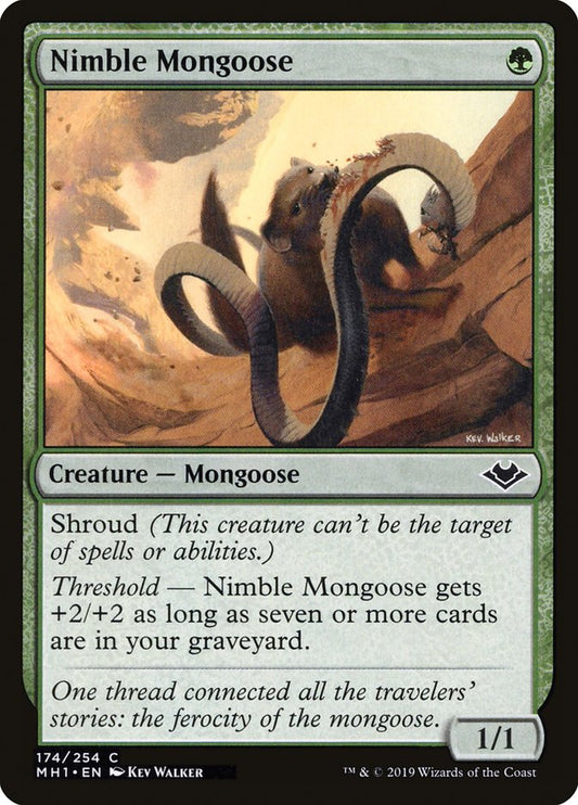 MTG Card Title: Nimble Mongoose MH1/174