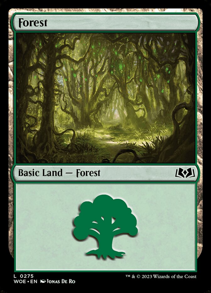 MTG Card Title: Forest WOE/275