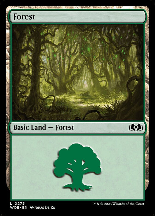 MTG Card Title: Forest WOE/275