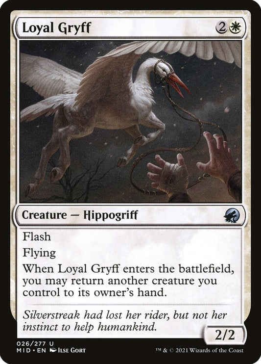 MTG Card Title: Loyal Gryff MID/26