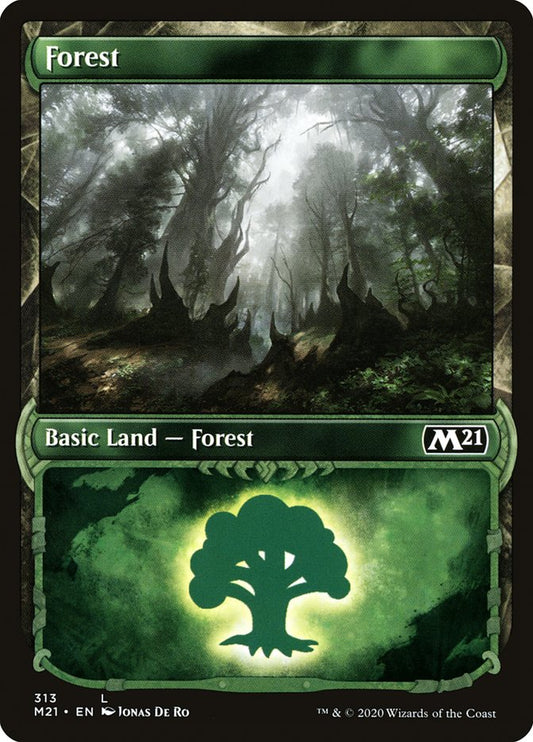 MTG Card Title: Forest M21/313
