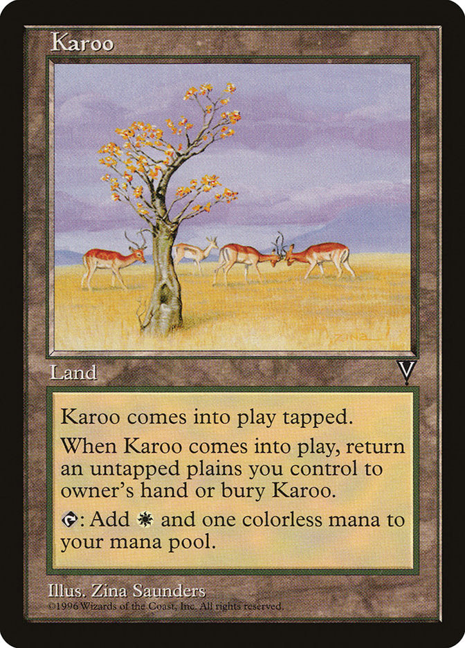 MTG Card Title: Karoo VIS/165
