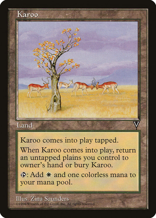 MTG Card Title: Karoo VIS/165