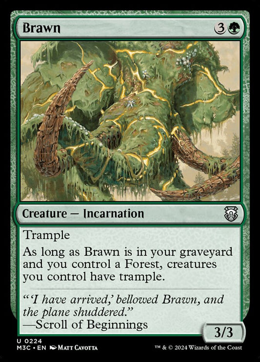 MTG Card Title: Brawn M3C/224
