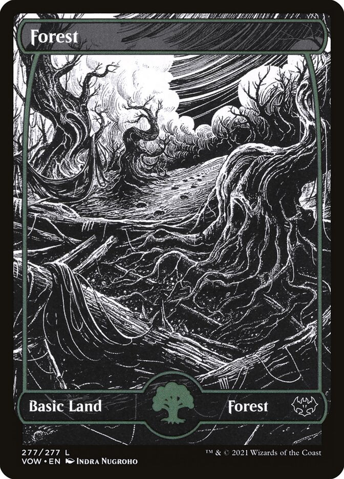 MTG Card Title: Forest VOW/277
