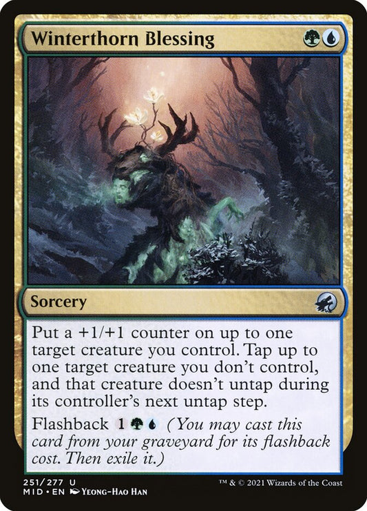 MTG Card Title: Winterthorn Blessing MID/251